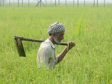 PM-KISAN Samman Nidhi Scheme: ಪಿಎಂ ಕಿಸಾನ್ ಸಮ್ಮಾನ್ ನಿಧಿ ಮೊತ್ತ ಬಾರದಿದ್ದಲ್ಲಿ ಎಲ್ಲಿ ದೂರು ನೀಡಬೇಕು? 