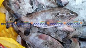 ಮಾರ್ಚ್ 09ರ ಪೇಟೆ ಧಾರಣೆ: ಮೀನು, ತರಕಾರಿ, ರಬ್ಬರ್  ಹಾಗೂ ರಸಗೊಬ್ಬರ ಮಾರುಕಟ್ಟೆ ಬೆಲೆ 