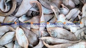 ಜು.17ರ ಪೇಟೆ ಧಾರಣೆ: ಮೀನು, ತರಕಾರಿ, ರಬ್ಬರ್  ಹಾಗೂ ರಸಗೊಬ್ಬರ ಮಾರುಕಟ್ಟೆ ಬೆಲೆ