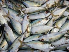 ಜು.30ರ ಪೇಟೆ ಧಾರಣೆ: ಮೀನು, ತರಕಾರಿ, ಸೊಪ್ಪು ಮಾರುಕಟ್ಟೆ ಬೆಲೆ