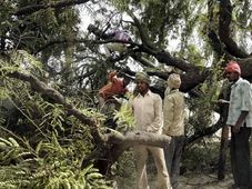  ಎಲ್‌ಪಿಜಿ ಬೆಲೆ ಏರಿಕೆ ನಡುವೆ ಗ್ರಾಮೀಣ ಪ್ರದೇಶದಲ್ಲಿ ಕಟ್ಟಿಗೆಗೆ ಭಾರೀ ಡಿಮ್ಯಾಂಡ್!