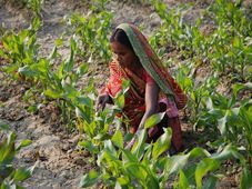  ಪಿಎಂ ಕಿಸಾನ್ 12ನೇ ಕಂತು: ಶೀಘ್ರ ಈ ಕಾರ್ಯ ಮಾಡಿ