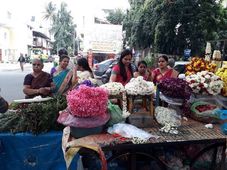 Varamahalakshmi Vrata : ವರಮಹಾಲಕ್ಷ್ಮೀ: ಹೂವು, ಹಣ್ಣು ದರ ಏರಿಕೆ, ಎಷ್ಟಿದೆ ಇಲ್ಲಿ ಪರಿಶೀಲಿಸಿ