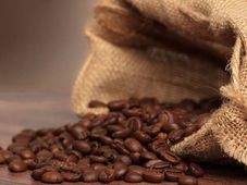  ಅಕ್ಟೋಬರ್ 28ರಂದು ವಾಣಿಜ್ಯ ಬೆಳೆ ಅಡಿಕೆ, ಕಾಫಿ, ಮೆಣಸು, ಏಲಕ್ಕಿ ಪೇಟೆ ಧಾರಣೆ