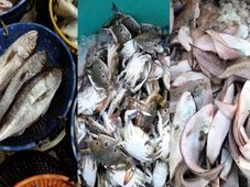  ನ.29ರ ಪೇಟೆ ಧಾರಣೆ: ಮೀನು, ತರಕಾರಿ, ಸೊಪ್ಪು, ಎಣ್ಣೆ ಮಾರುಕಟ್ಟೆ ಬೆಲೆ ಎಷ್ಟಿದೆ?