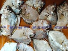 ಜ.9ರ ಪೇಟೆ ಧಾರಣೆ: ಮೀನು, ತರಕಾರಿ, ಸೊಪ್ಪು ಮಾರುಕಟ್ಟೆ ಬೆಲೆ ಎಷ್ಟಿದೆ?