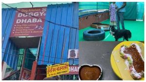 Doggy Dhaba: ಇದು ಶ್ವಾನಗಳ ಡಾಬಾ, ಆಹಾರ ಬೆಲೆ ಎಷ್ಟಿದೆ ನೋಡಿ