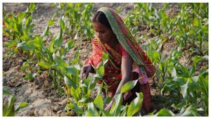  PM Kisan: ಈ ರೈತರಿಗೆ ಪಿಎಂ ಕಿಸಾನ್ ಮುಂದಿನ ಕಂತು ಲಭ್ಯವಾಗದು, ಕಾರಣವೇನು? 