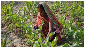  PM Mandhan: ಈ ರೈತರಿಗೆ 3000 ರೂ. ಮಾಸಿಕ ಪಿಂಚಣಿ, ಅರ್ಹತೆ, ಇತರೆ ಮಾಹಿತಿ