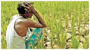 PM KISAN: ರೈತರಿಗೆ ನಿರಾಸೆ, ಪಿಎಂ ಕಿಸಾನ್ ಮೊತ್ತ ಏರಿಕೆಯಿಲ್ಲ; ಹೋಳಿಗೂ ಮುನ್ನ 13ನೇ ಕಂತು