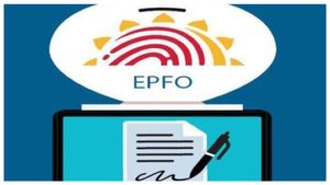  EPFO Board Meet: ಇಪಿಎಫ್‌ ಬಡ್ಡಿದರ ಶೇಕಡ 8ಕ್ಕೆ ಇಳಿಸಲಾಗುತ್ತಾ?