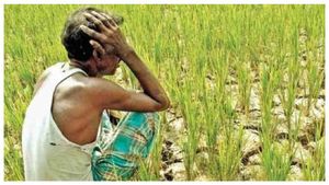 PM KISAN 13th Installment : ಕಿಸಾನ್ ನಿಧಿ 13ನೇ ಕಂತು ಲಭ್ಯವಾಗಿಲ್ಲವೇ, ಆನ್‌ಲೈನ್ ದೂರು ನೀಡಿ