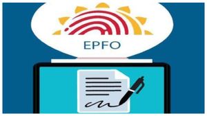 EPFO: ಇಪಿಎಫ್‌ ಕ್ಲೈಮ್‌ಗೆ ಅಗತ್ಯವಾದ 6 ಫಾರ್ಮ್‌ಗಳಿವು ನೋಡಿ 