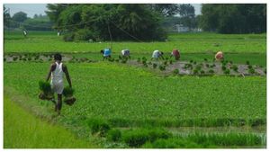  PM Kisan: ಪಿಎಂ ಕಿಸಾನ್ 14ನೇ ಕಂತಿನಲ್ಲಿ 4000 ರೂಪಾಯಿ ಲಭ್ಯ, ಅರ್ಹತೆ ತಿಳಿಯಿರಿ