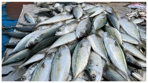 ಜೂನ್ 30 ರ ಪೇಟೆ ಧಾರಣೆ: ಮೀನು, ತರಕಾರಿ, ಸೊಪ್ಪು ಮಾರುಕಟ್ಟೆ ಬೆಲೆ ಎಷ್ಟಿದೆ?