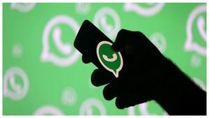  LIC WhatsApp Service: ಎಲ್‌ಐಸಿ ವಾಟ್ಸಾಪ್ ಸೇವೆ ಬಳಸುವುದು ಹೇಗೆ?