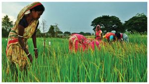  MSP Hike: ಭತ್ತ, ಹೆಸರುಬೇಳೆ ಸೇರಿ ಹಲವು ವಸ್ತುಗಳ ಕನಿಷ್ಟ ಬೆಂಬಲ ಬೆಲೆ ಏರಿಸಿದ ಸಂಸತ್ತು