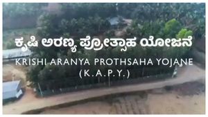 Krushi Aranya Protsaha Yojane: ಏನಿದು ಕೃಷಿ ಅರಣ್ಯ ಪ್ರೋತ್ಸಾಹ ಯೋಜನೆ, ಯಾರಿಗೆ ಲಾಭ?