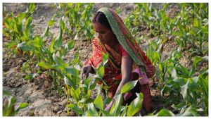  PM Kisan: ಮುಂದಿನ ವಾರವೇ ಪಿಎಂ ಕಿಸಾನ್ ಮೊತ್ತ ಬಿಡುಗಡೆ, ಸ್ಟೇಟಸ್ ಚೆಕ್ ಮಾಡಿಕೊಳ್ಳಿ