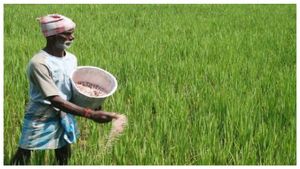 PM Kisan: ಪಿಎಂ ಕಿಸಾನ್ 14ನೇ ಕಂತು ಜಮೆಯಾಗದಿದ್ದರೆ ಹೀಗೆ ದೂರು ನೀಡಿ