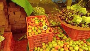  Tomato: ಸಿಸಿ ಟಿವಿ ಕಣ್ಗಾವಲಿನಲ್ಲಿ ಟೊಮೆಟೋ ಮಾರಾಟ! ಇದು ಅಚ್ಚರಿಯಾದರೂ ನಿಜ