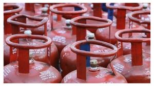  LPG Price Falls: ದರ ಕಡಿತದ ಬಳಿಕ ಬೆಂಗಳೂರಿನಲ್ಲಿ ಎಲ್‌ಪಿಜಿ ಬೆಲೆ ಎಷ್ಟಿದೆ ನೋಡಿ