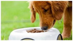  Pet Food Business: ಕಡಿಮೆ ಬಂಡವಾಳದೊಂದಿಗೆ ಹೆಚ್ಚು ಗಳಿಸುವ ಬ್ಯುಸಿನೆಸ್ ಐಡಿಯಾ ಇಲ್ಲಿದೆ!