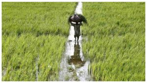  PM Kisan Yojana: ಪಿಎಂ ಕಿಸಾನ್‌ನ 15ನೇ ಕಂತು ಶೀಘ್ರ ಲಭ್ಯ, ಹೇಗೆ ಅರ್ಜಿ ಸಲ್ಲಿಸುವುದು?