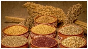  Sharmila Oswal: ಸಿರಿಧಾನ್ಯ ಉದ್ಯಮಕ್ಕಾಗಿ ಕೆನಡಾದಲ್ಲಿದ್ದ ಕೆಲಸ ತೊರೆದ ವಕೀಲೆಯ ವಾರ್ಷಿಕ ಆದಾಯ 16 ಕೋಟಿ  ರೂ.!