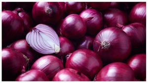 Bangalore Rose Onion: ಬೆಂಗಳೂರು ಗುಲಾಬಿ ಈರುಳ್ಳಿಗೆ ರಫ್ತು ಸುಂಕದಿಂದ ವಿನಾಯಿತಿ, ಇಲ್ಲಿದೆ ವಿವರ