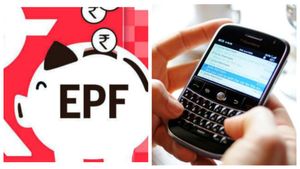  Provident Fund Alert: ಇಪಿಎಫ್‌ ಖಾತೆಗೆ ಮೊಬೈಲ್ ಸಂಖ್ಯೆ ಲಿಂಕ್ ಮಾಡುವುದು ಹೇಗೆ?