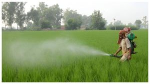  Subsidy On P&K Fertilisers: ರಾಬಿ ಸೀಸನ್‌ನಲ್ಲಿ ರಸಗೊಬ್ಬರಗಳಿಗೆ 22,303 ಕೋಟಿ ರೂಪಾಯಿ ಸಬ್ಸಿಡಿಗೆ ಕೇಂದ್ರ ಅಸ್ತು 