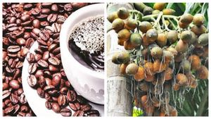  Arecanut, Coffee Price: ನವೆಂಬರ್ 21ರಂದು ಅಡಿಕೆ, ಕಾಫಿ, ಮೆಣಸು, ಏಲಕ್ಕಿ ಬೆಲೆ ಎಷ್ಟಿದೆ?