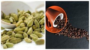 Arecanut, Coffee Price: ನವೆಂಬರ್ 28ರಂದು ಅಡಿಕೆ, ಕಾಫಿ, ಮೆಣಸು, ಏಲಕ್ಕಿ ಬೆಲೆ ಪರಿಶೀಲಿಸಿ