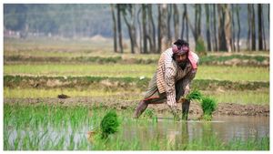  PM Kisan Yojana: ಪಿಎಂ ಕಿಸಾನ್ 15ನೇ ಕಂತು ಬಿಡುಗಡೆ, ಖಾತೆಗೆ ಮೊತ್ತ ಜಮೆಯಾಗಿದೆಯೇ ಹೀಗೆ ಚೆಕ್ ಮಾಡಿ