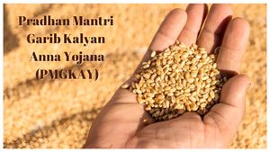  PMGKA Yojana: ಪಿಎಂಜಿಕೆಎ ಯೋಜನೆ ವಿಸ್ತರಣೆ, ಏನಿದು ಸ್ಕೀಮ್, ಯಾರಿಗೇನು ಪ್ರಯೋಜನ?