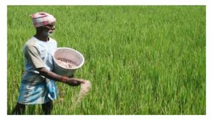  PM Kisan: ರೈತರಿಗೆ ಸಿಹಿಸುದ್ದಿ, ಪಿಎಂ ಕಿಸಾನ್ ಮೊತ್ತ 12,000 ರೂಪಾಯಿಗೆ ಏರಿಕೆ, ಯಾರು ಅರ್ಹರು?