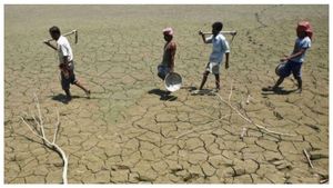  Drought Relief: ಬರ ಪರಿಹಾರ 2000 ರೂಪಾಯಿ ಪಡೆಯಲು ನೀವೂ ಅರ್ಹರೇ?, ಹೀಗೆ ಚೆಕ್ ಮಾಡಿ