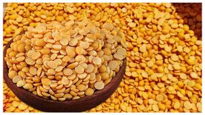  Tur Dal Prices Hike: ಗಗನಕ್ಕೇರಿದ ತೊಗರಿ ಬೇಳೆ ಬೆಲೆ- ಎಷ್ಟು? ಅಂಕಿಅಂಶ, ವಿವರ