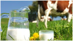  Woman's Dairy: ಪ್ರತಿ ದಿನ 650 ಲೀಟರ್ ಹಾಲು- ಮಹಿಳೆಯ ಹೈನುಗಾರಿಕೆಯ ಯಶೋಗಾಥೆ