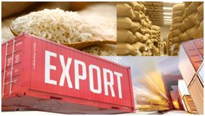  Rice Export: ಭಾರತದ ಅಕ್ಕಿ ರಫ್ತು ದರ ಸಾರ್ವಕಾಲಿಕ ಏರಿಕೆ, ಕಾರಣವೇನು? 