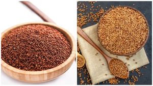  Ragi Varieties: 77 ರಾಗಿ ತಳಿ ಬೆಳೆದ ಕರುನಾಡಿನ ಹೆಂಗಳೆಯರು, ಈ ಸಿರಿ ಧಾನ್ಯದ ಮಾಹಿತಿ ನಿಮಗಿದೆಯೇ!?