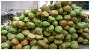 ಬೆಂಗಳೂರಿನಲ್ಲಿ ರಾತ್ರೋರಾತ್ರಿ ಒಂದಲ್ಲ ಎರಡಲ್ಲ 900 ಎಳೆನೀರು ಕಳವು, ಮಹಿಳೆಗೆ ಭಾರೀ ನಷ್ಟ!
