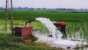Irrigation Scheme: ನೀರಾವರಿ ಯೋಜನೆಗೆ ಸಿದ್ದರಾಮಯ್ಯ ಸರ್ಕಾರ ಹರಿಸಿದ ಹಣ ಎಷ್ಟು? ಉತ್ತರ ಕರ್ನಾಟಕಕ್ಕೆ ಆದ ಲಾಭ ಏನು? 
