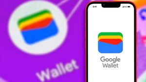ಭಾರತದಲ್ಲಿಯೂ ಈಗ Google Wallet ಸೇವೆ ಲಭ್ಯ: Google Pay ಗಿಂತ ಇದು ಹೇಗೆ ಭಿನ್ನ? 