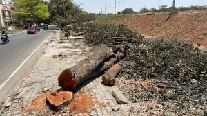 ಬೆಂಗಳೂರು ಉಪನಗರ ರೈಲು ಯೋಜನೆಗಾಗಿ 32,572 ಮರಗಳಿಗೆ ಕೊಡಲಿ: ವರದಿ 