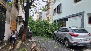 bengaluru weather: ಗುಡುಗು ಸಹಿತ ಮಳೆಗೆ ವಾಹನಗಳು ಜಖಂ, ಪರದಾಡಿದ ಜನರು 