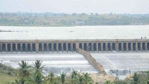 KRS Dam: ಕಾವೇರಿ ಜಲಾನಯನ ಪ್ರದೇಶದಲ್ಲಿ ಉತ್ತಮ ಮಳೆ, ಆದರೂ ತುಂಬದ ಡ್ಯಾಂಗಳು! 