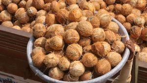  ಗ್ರಾಹಕರನ್ನು ಸೆಳೆಯಲು ಬೆಂಗಳೂರು ವ್ಯಾಪಾರಿ ನೂತನ ಪ್ಲ್ಯಾನ್‌: ಜೆಪ್ಟೋ, ಬ್ಲಿಂಕಿಟ್‌ಗಿಂತಲೂ ಕಡಿಮೆ ಬೆಲೆಗೆ ತೆಂಗಿನಕಾಯಿ