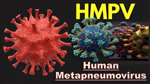 HMPV Virus: ಭಾರತದಲ್ಲಿ ಮೂರು ಪ್ರಕರಣಗಳು ಪತ್ತೆ, ಆಸ್ಪತ್ರೆ ಷೇರು 4% ಏರಿಕೆ! 